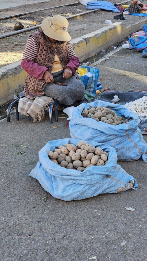Donna peruviana seduta per terra al mercato con due sacchi di patate davanti a sè