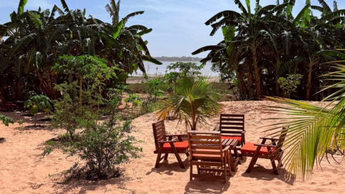 Lussureggiante vegetazione tropicale in Casamance