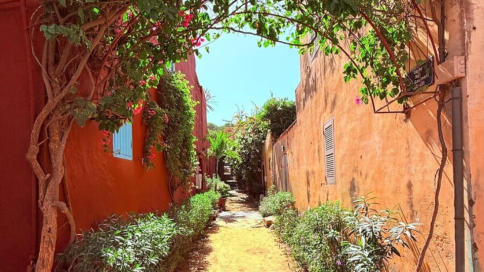 Vicolo fiorito e architettura colorata a Dakar, Senegal