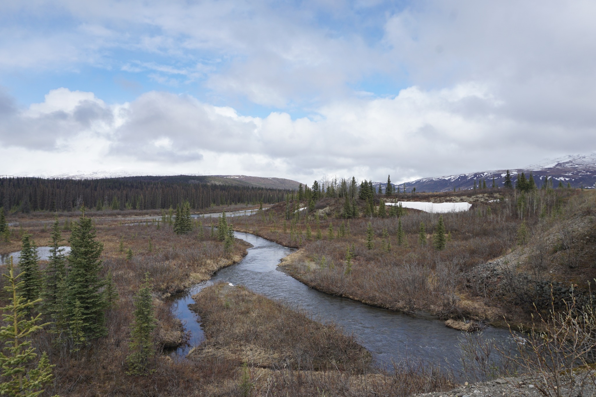 Paesaggio di giugno in Alaska con fiume tortuoso e montagne innevate in lontananza