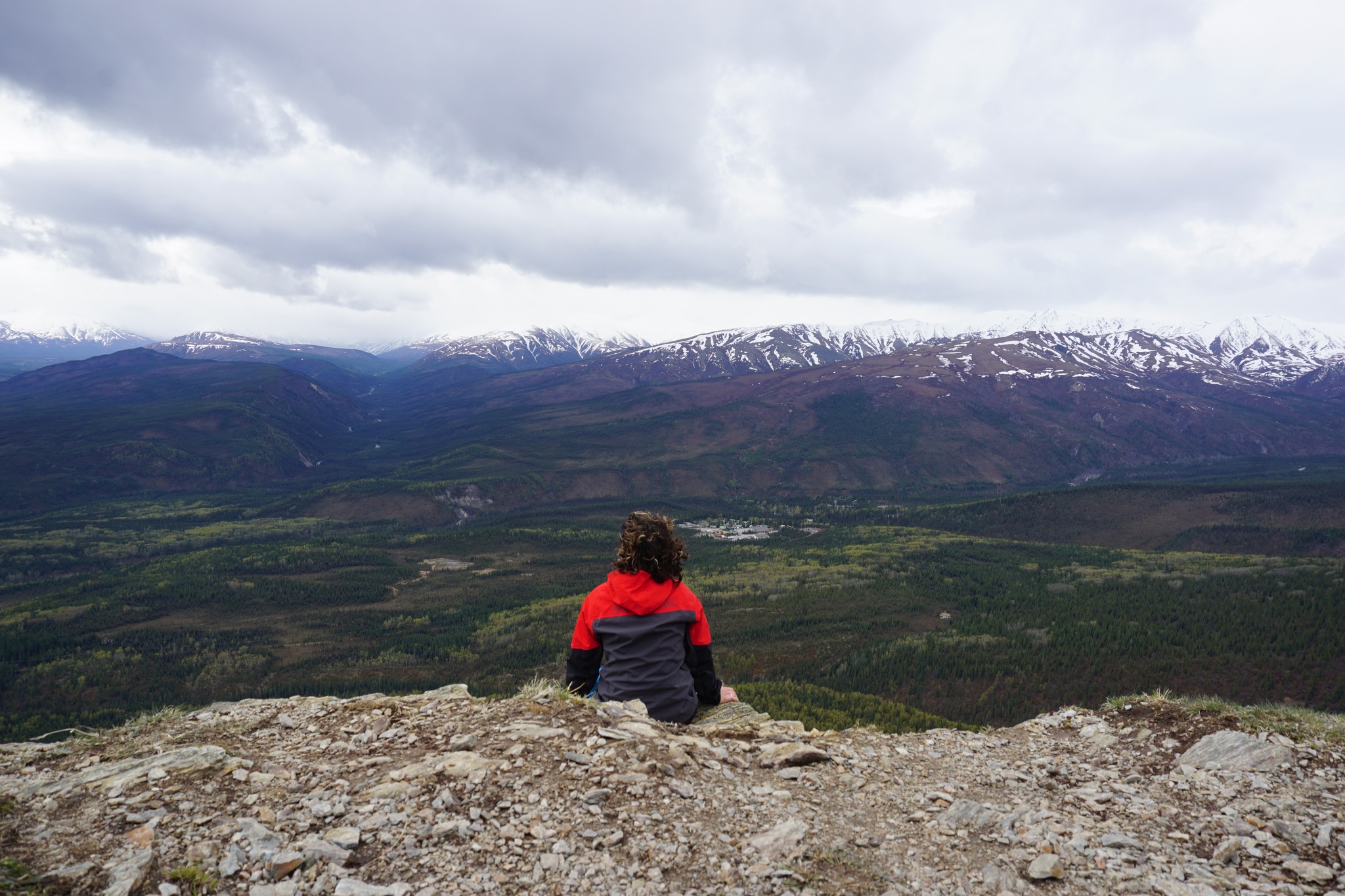 Ampia vista panoramica del Denali National Park scattata dal Mt Healy Overlook