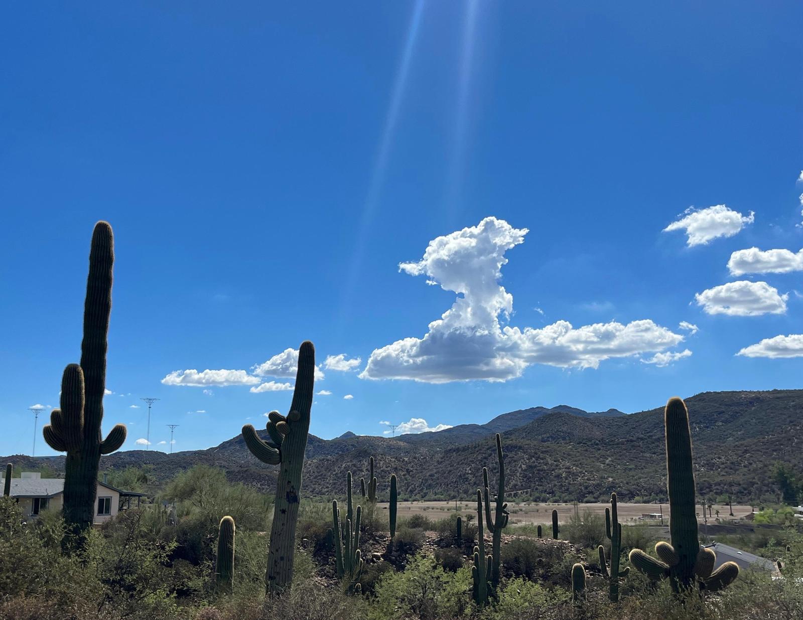 Anteprima: Usa on the Road: l’Arizona tra cactus e paesaggi western