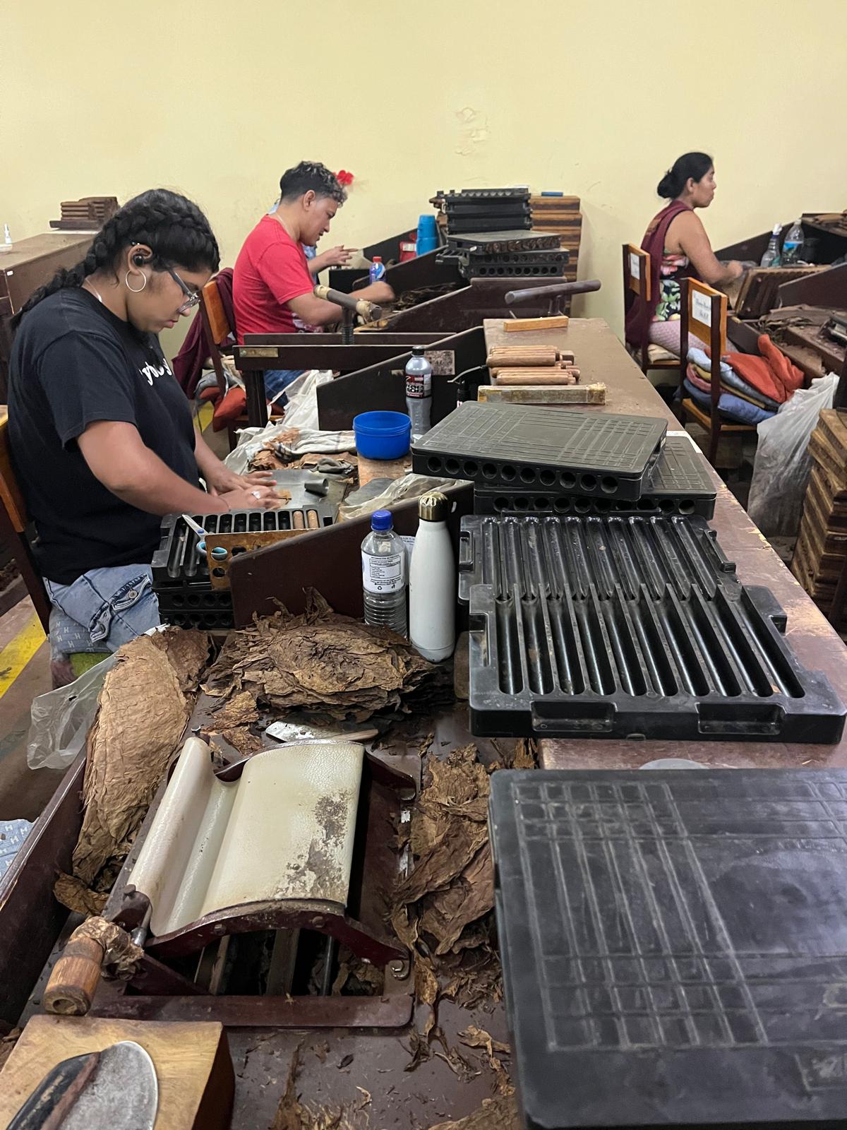 Artigiani al lavoro dentro una fabbrica di sigari a Estelì