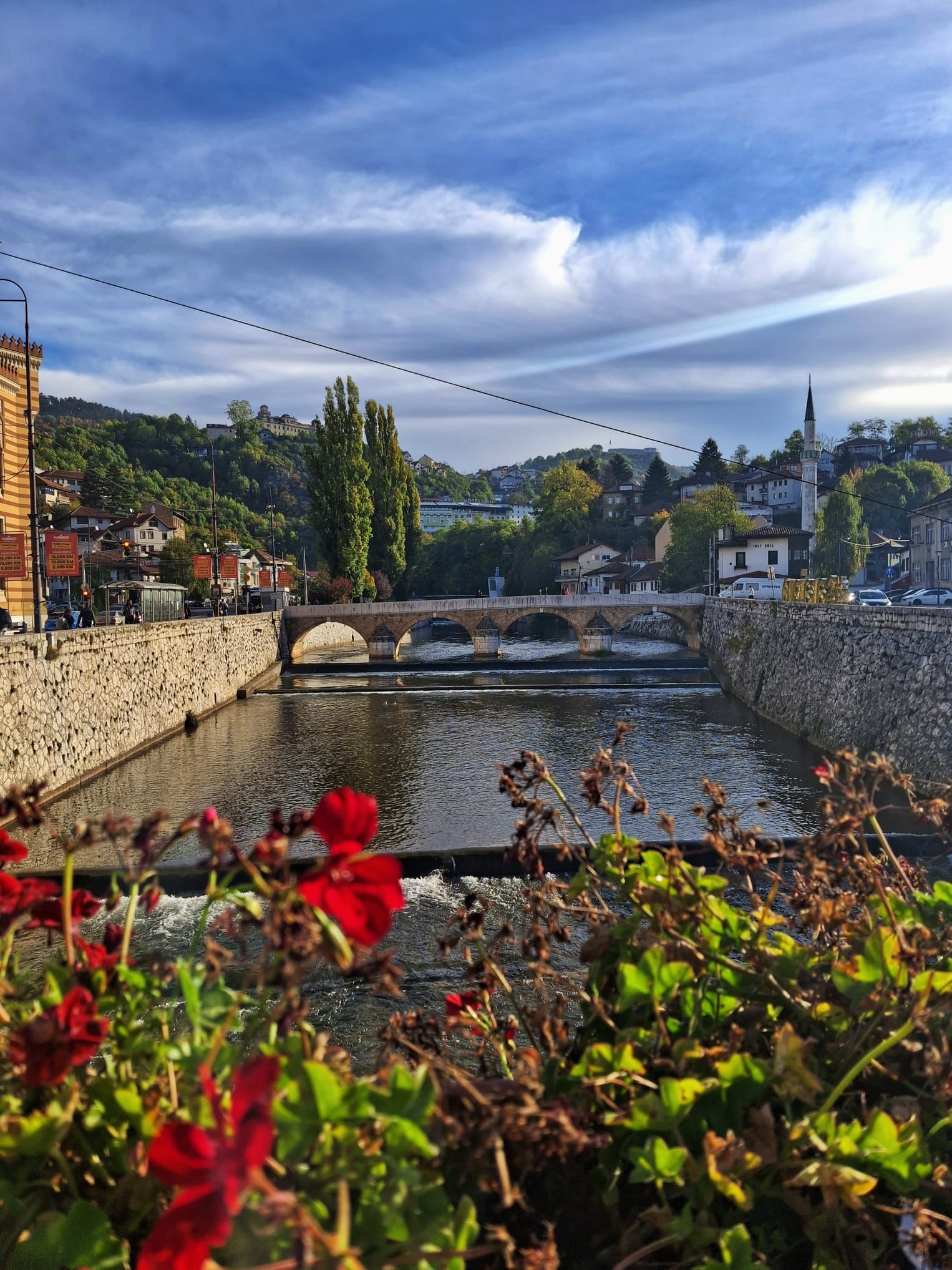 Vista panoramica del fiume Miljacka e dei ponti storici di Sarajevo con i fiori in primo piano