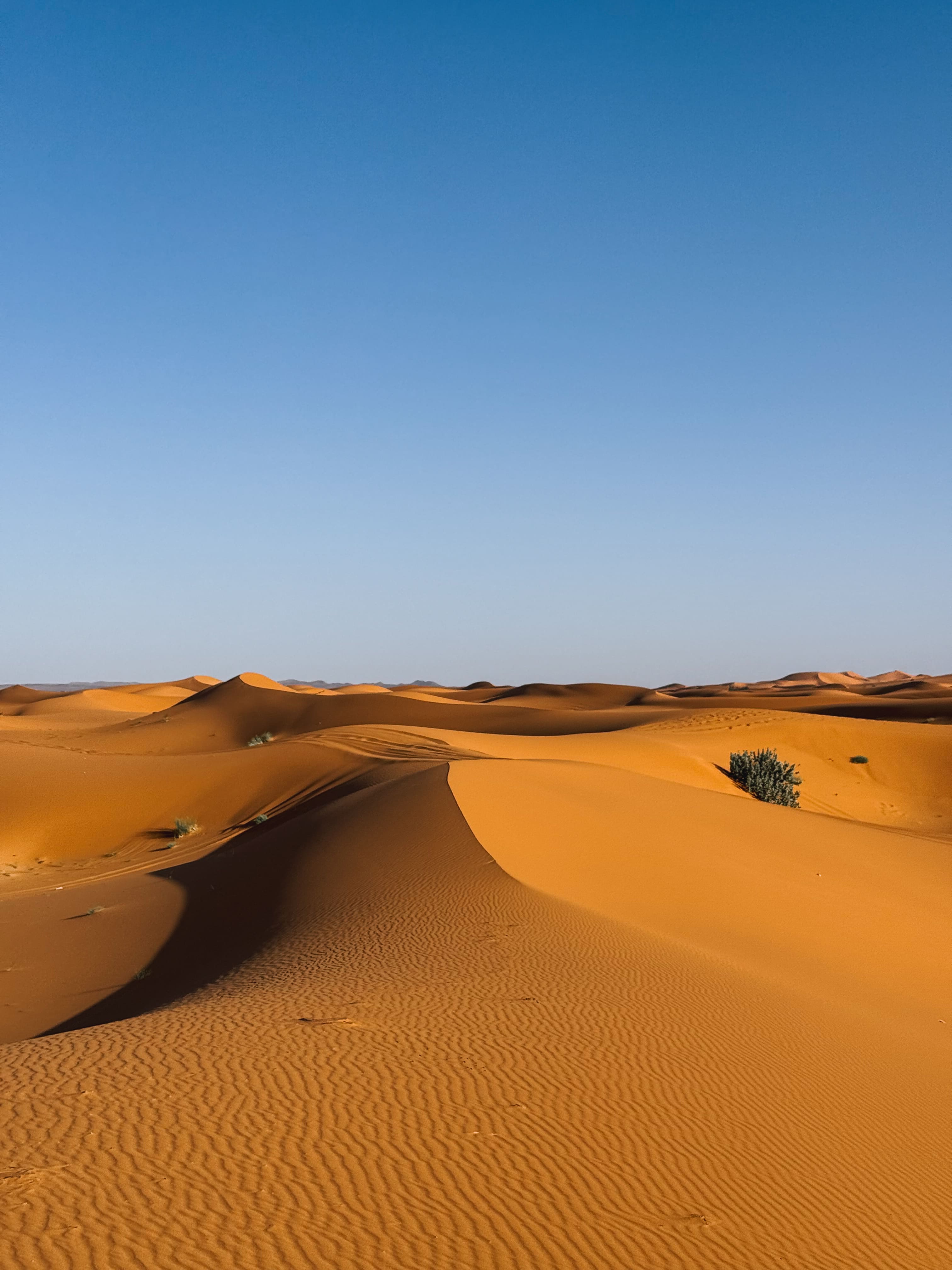 Vasta distesa di dune dorate nel deserto del Sahara sotto un cielo sereno