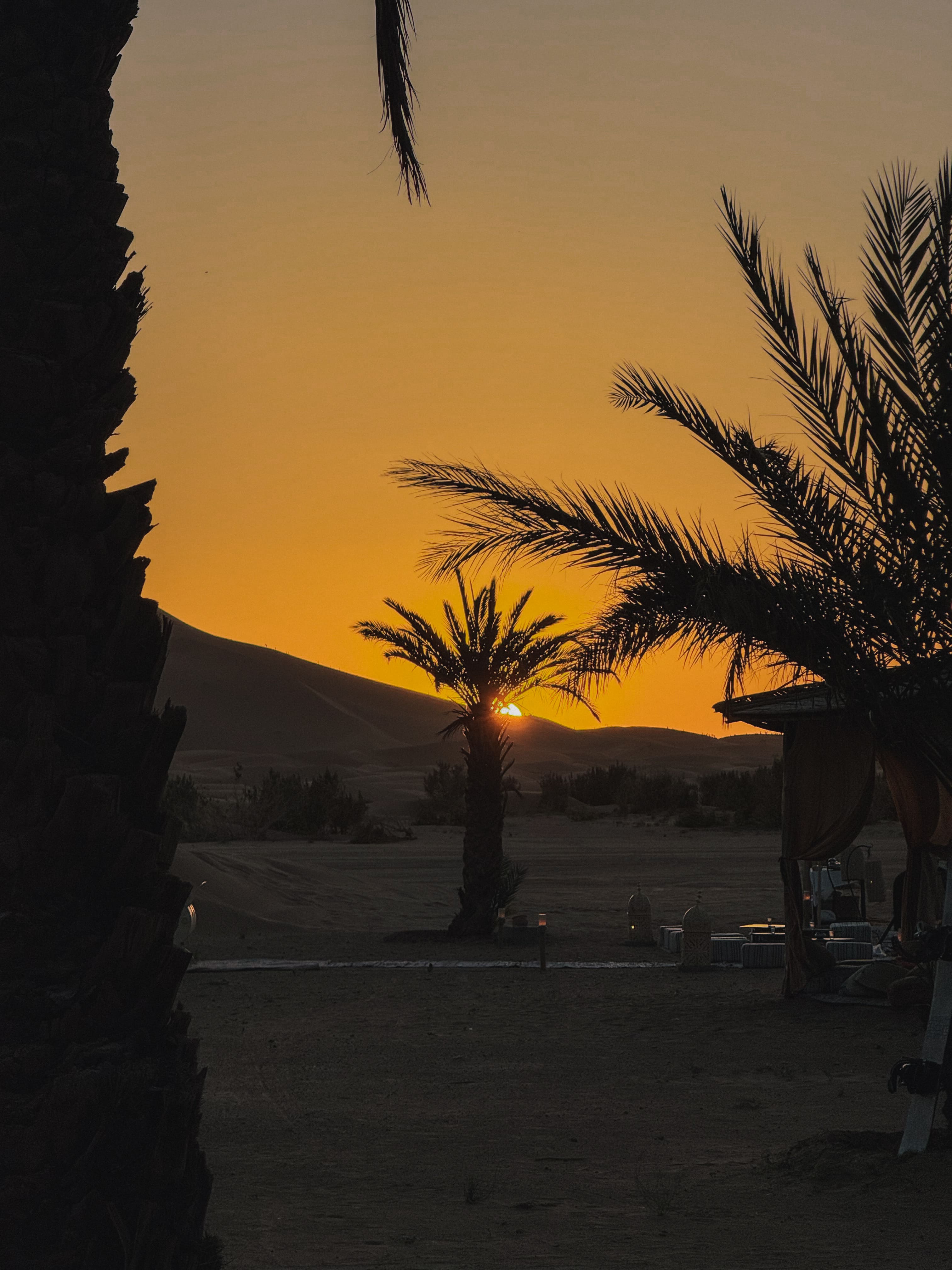 Sole che tramonta silenziosamente dietro le dune del deserto e le sagome delle palme