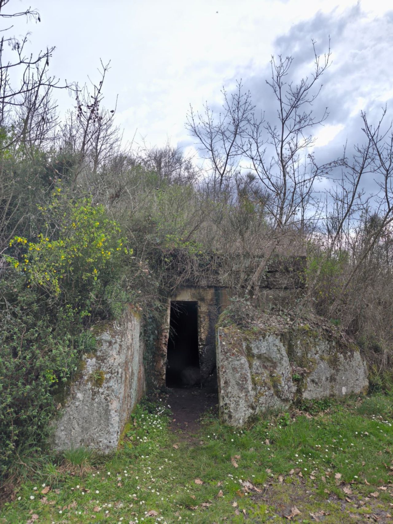 Struttura esterna e corridoio d'accesso all'antica Tomba di Margaret immersa nel fogliame