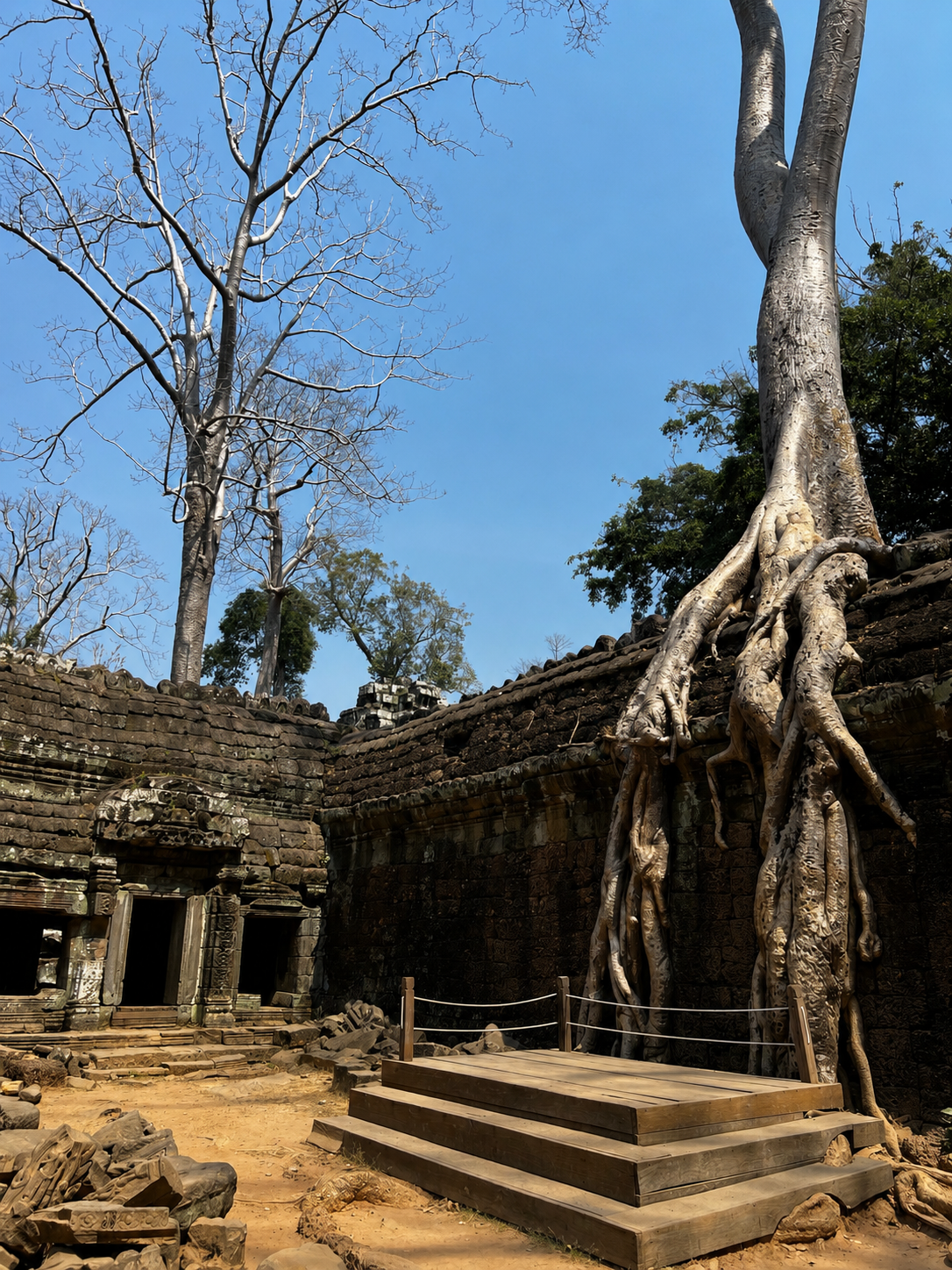 Le imponenti radici di un albero secolare che avvolgono le rovine del tempio di Ta Prohm