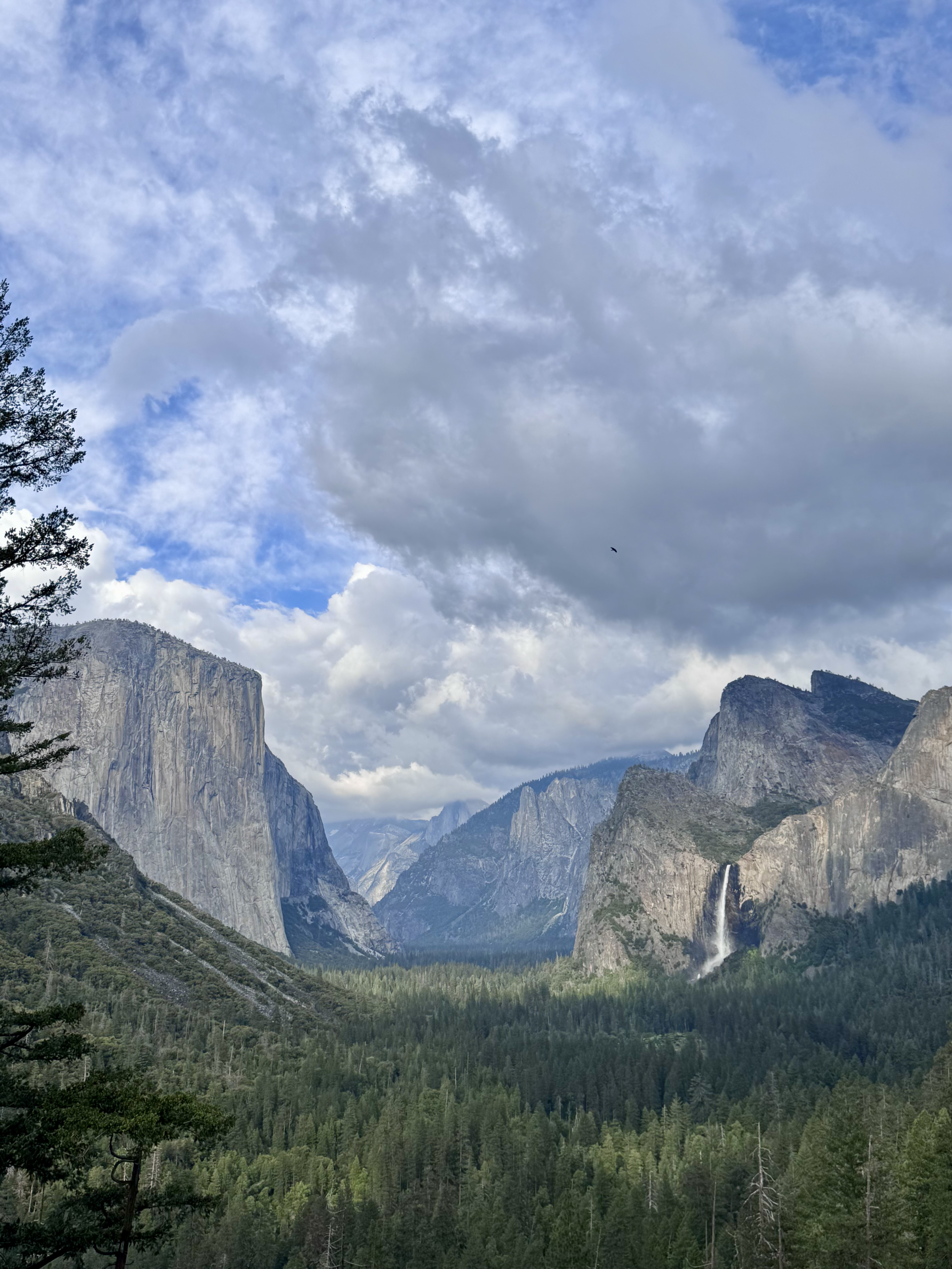 Il panorama grandioso della Yosemite Valley incorniciata dalle montagne di granito
