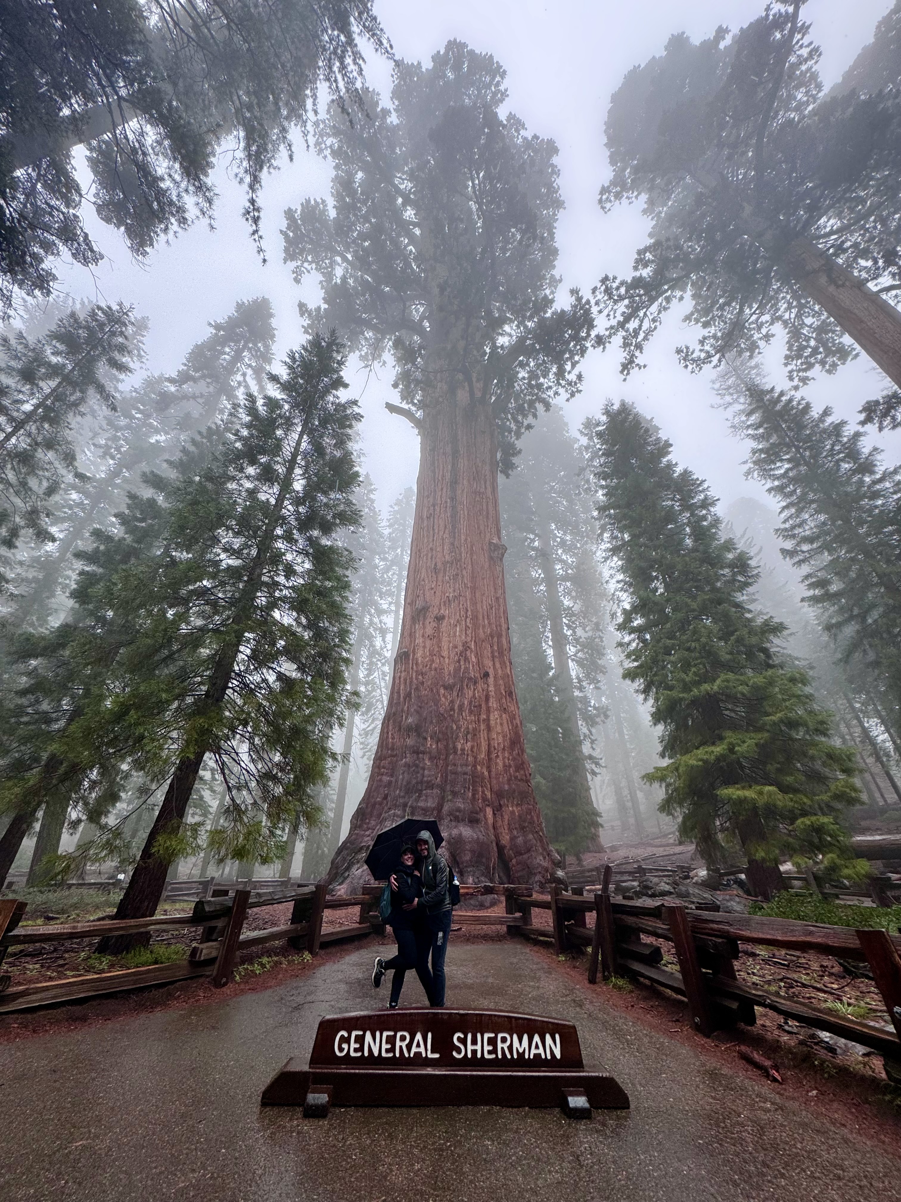 Turisti posano alla base del General Sherman, meravigliati dalla sua grandezza