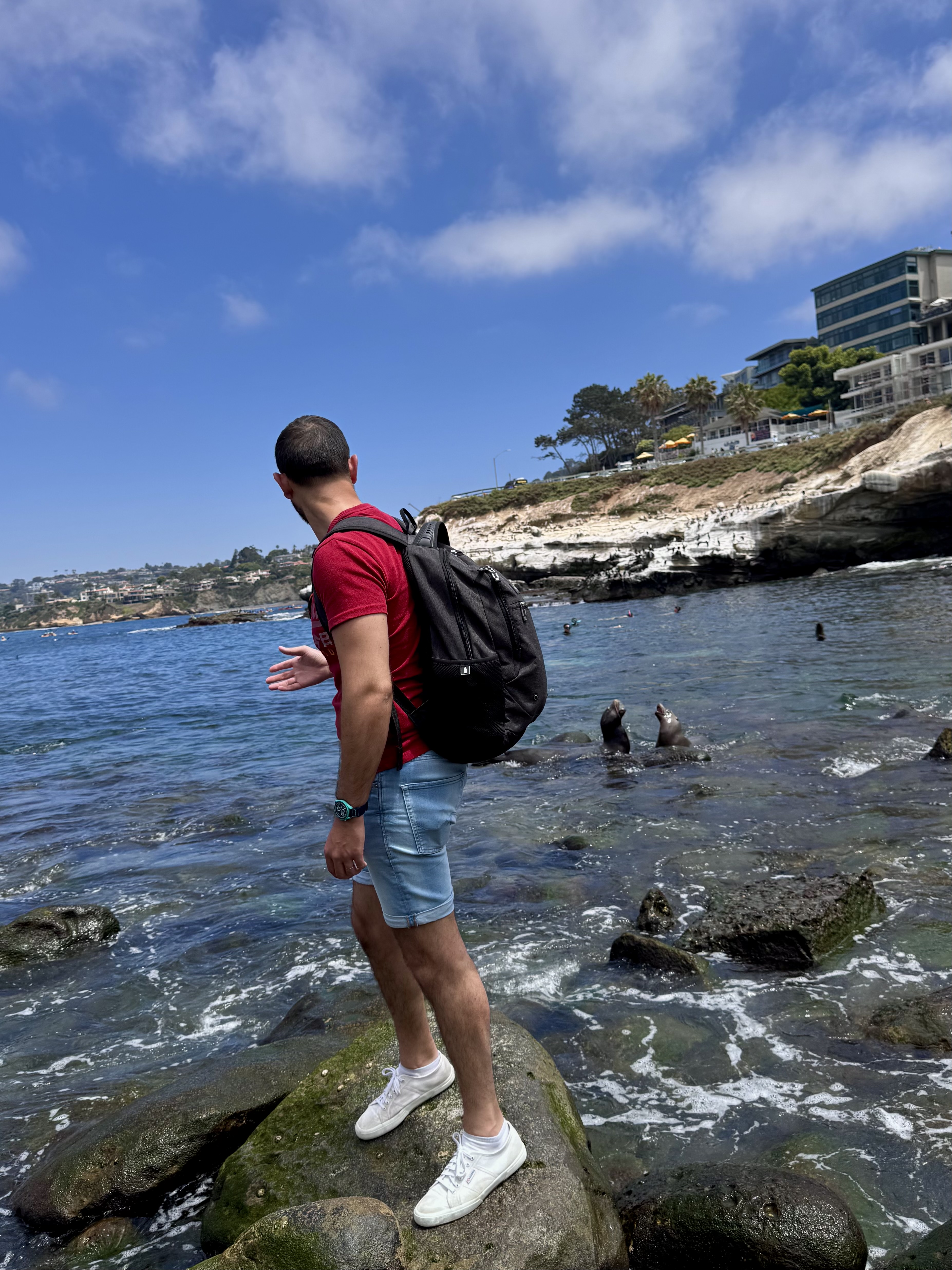 Turista osserva i leoni marini nel loro habitat naturale sugli scogli di La Jolla a San Diego