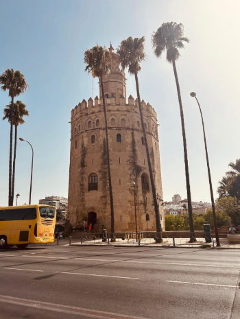 L'imponente Torre del Oro a Siviglia si erge vicino alla strada trafficata, incorniciata da palme alte sotto un sole splendente, sulle rive del fiume Guadalquivir