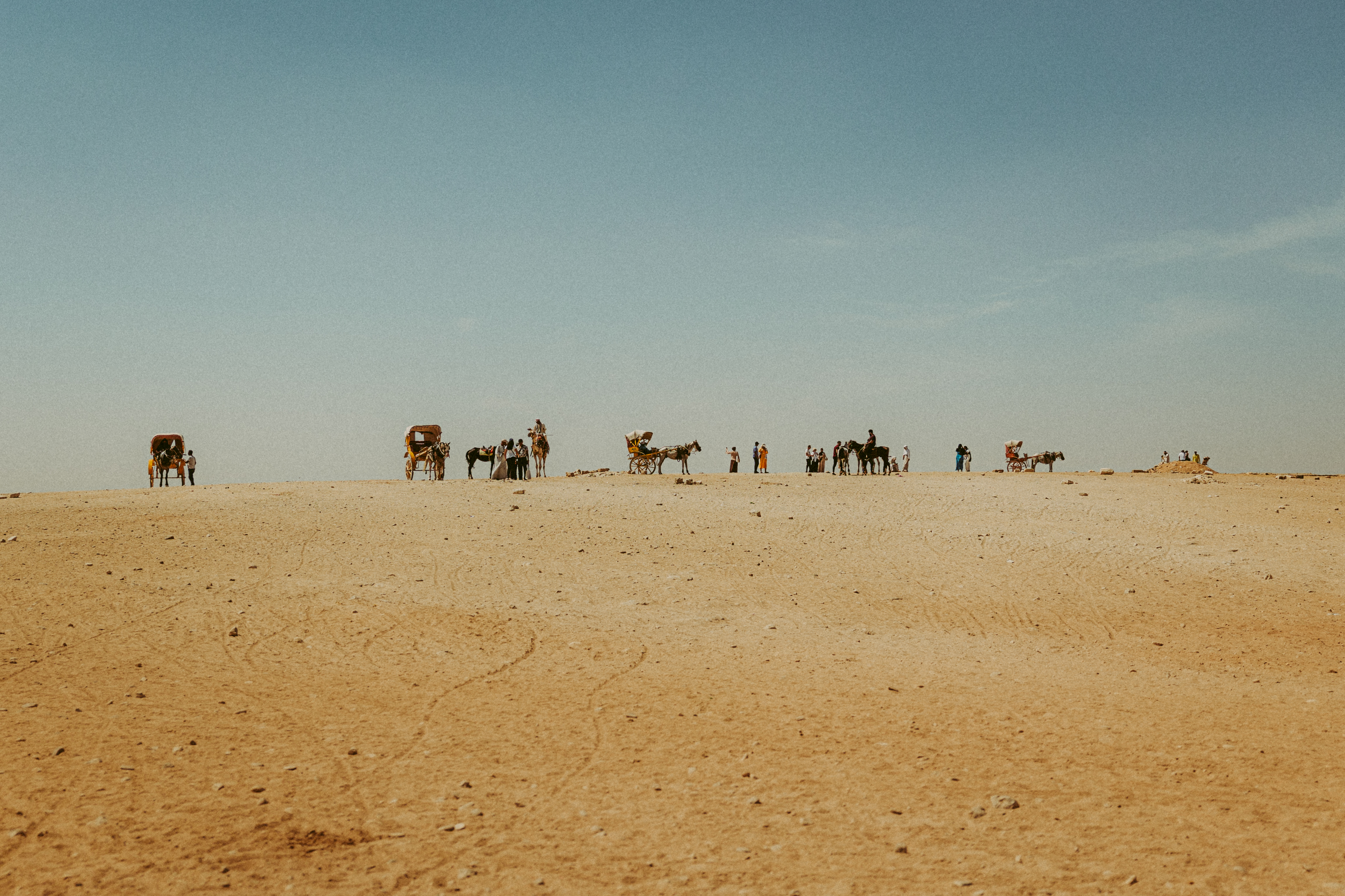 Silhouette di carrozze, dromedari e persone sulla cresta di una duna nel complesso di Giza