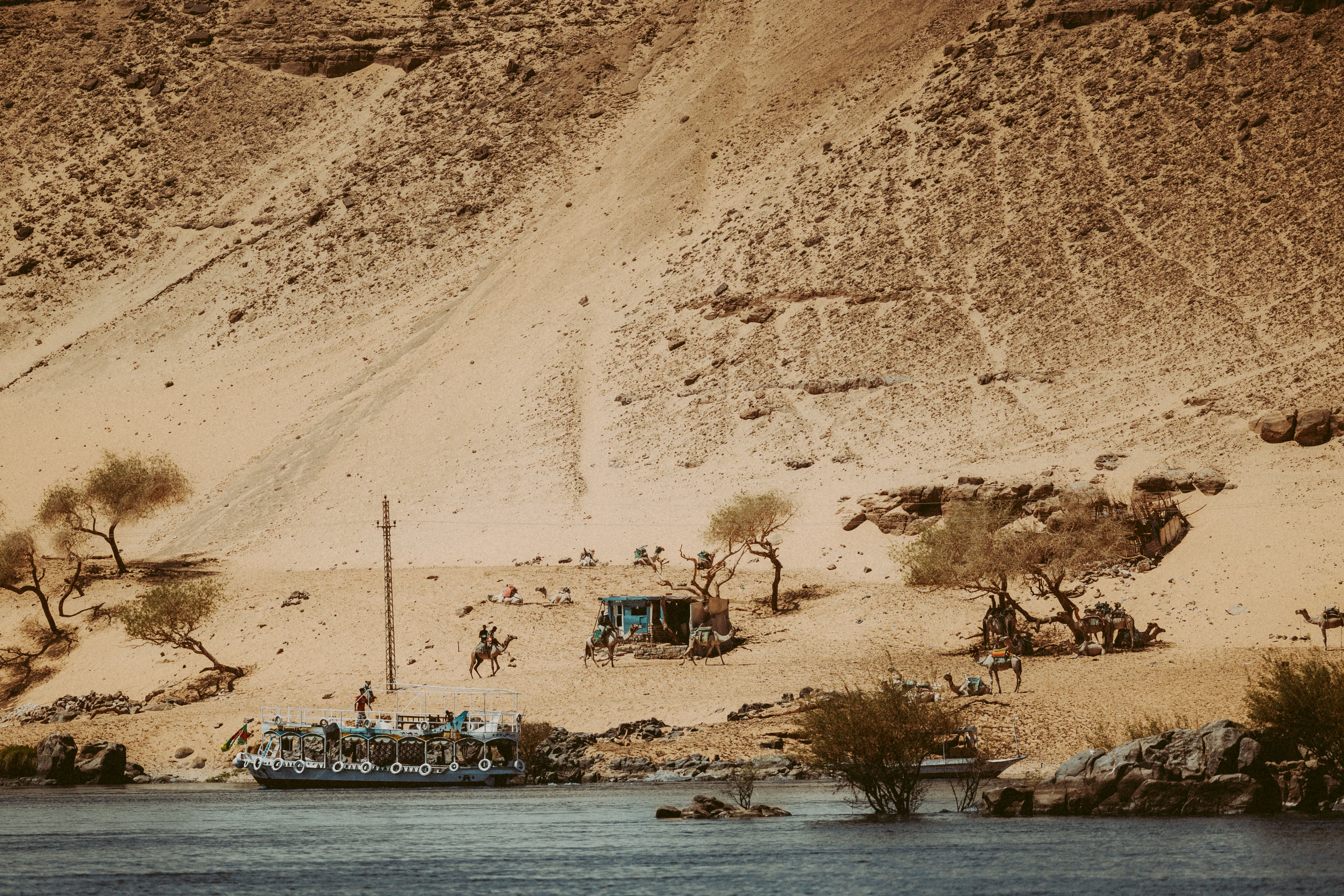 Barca turistica ormeggiata sulla riva del Nilo dove il deserto incontra l'acqua, con dromedari sulla duna