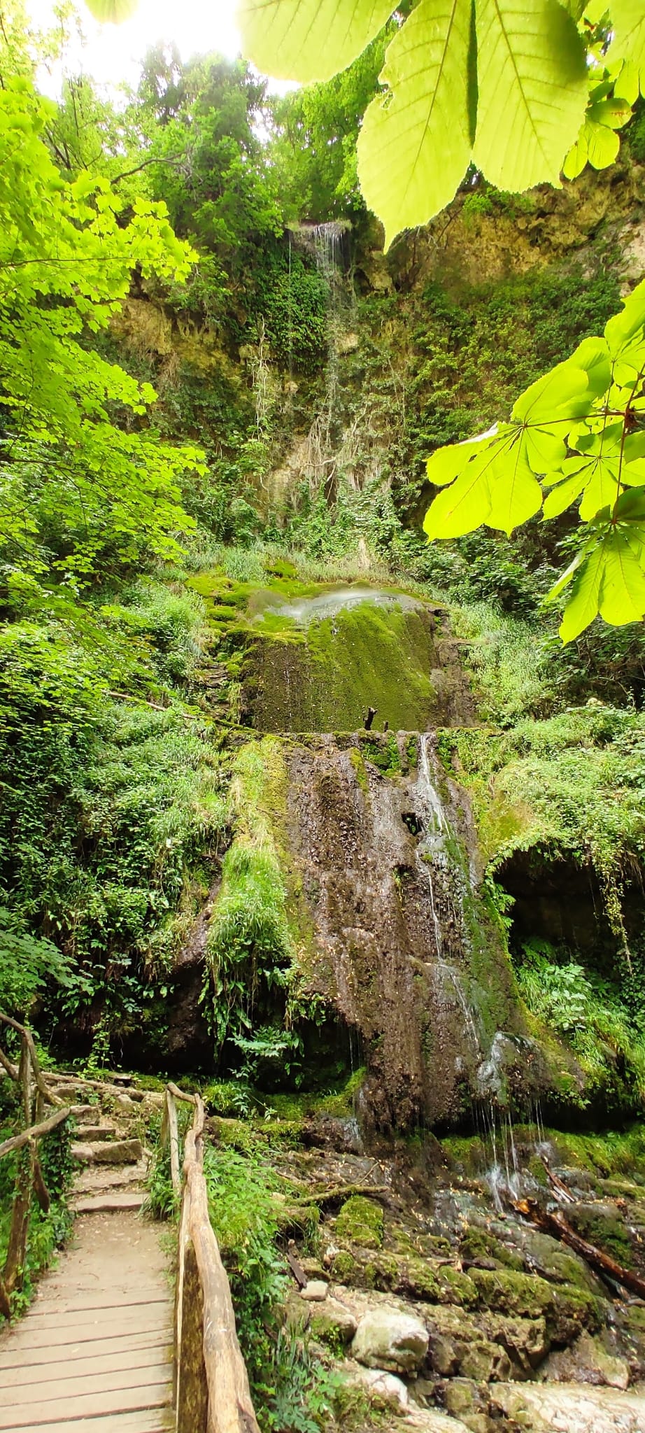 Straordinaria parete rocciosa verticale scolpita dallo scorrere dei torrenti e ricoperta di muschio verde brillante nella Valle dell'Orfento
