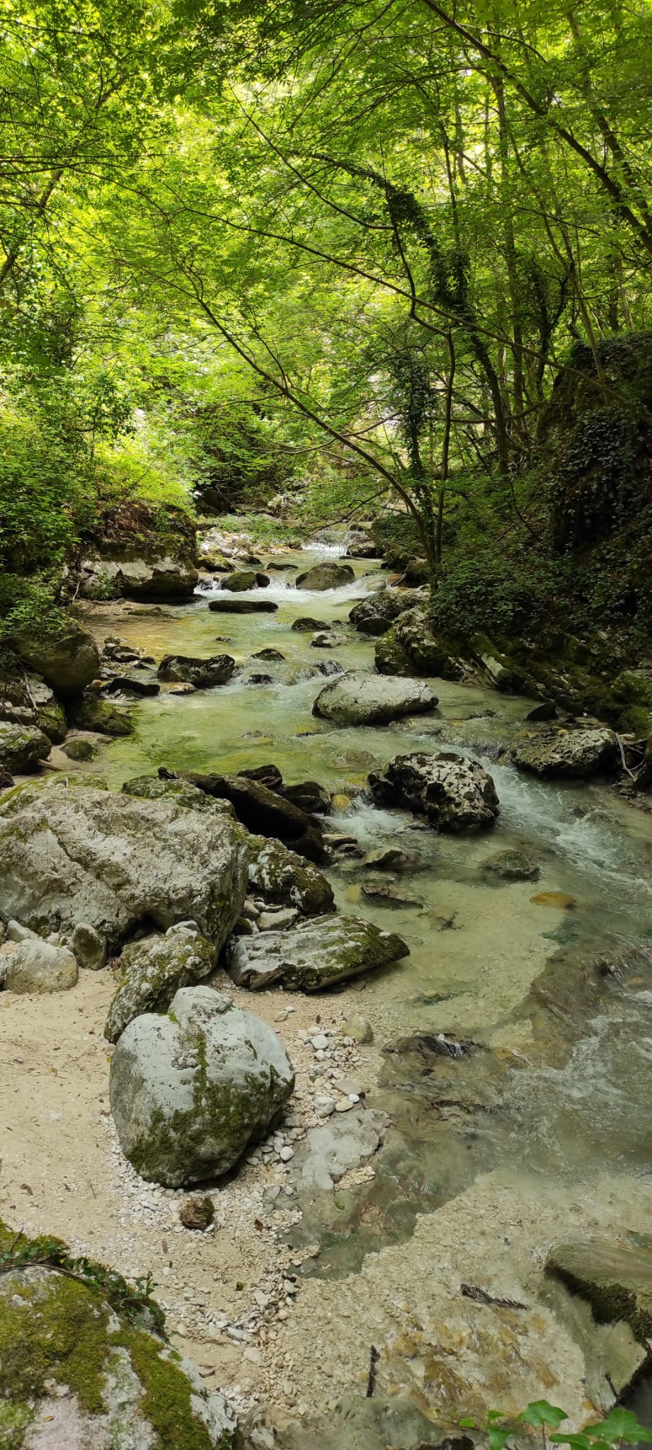 Acqua limpidissima e piccole rapide che scorrono tra i sassi levigati e i ciottoli bianchi all'interno della lussureggiante Valle dell'Orfento