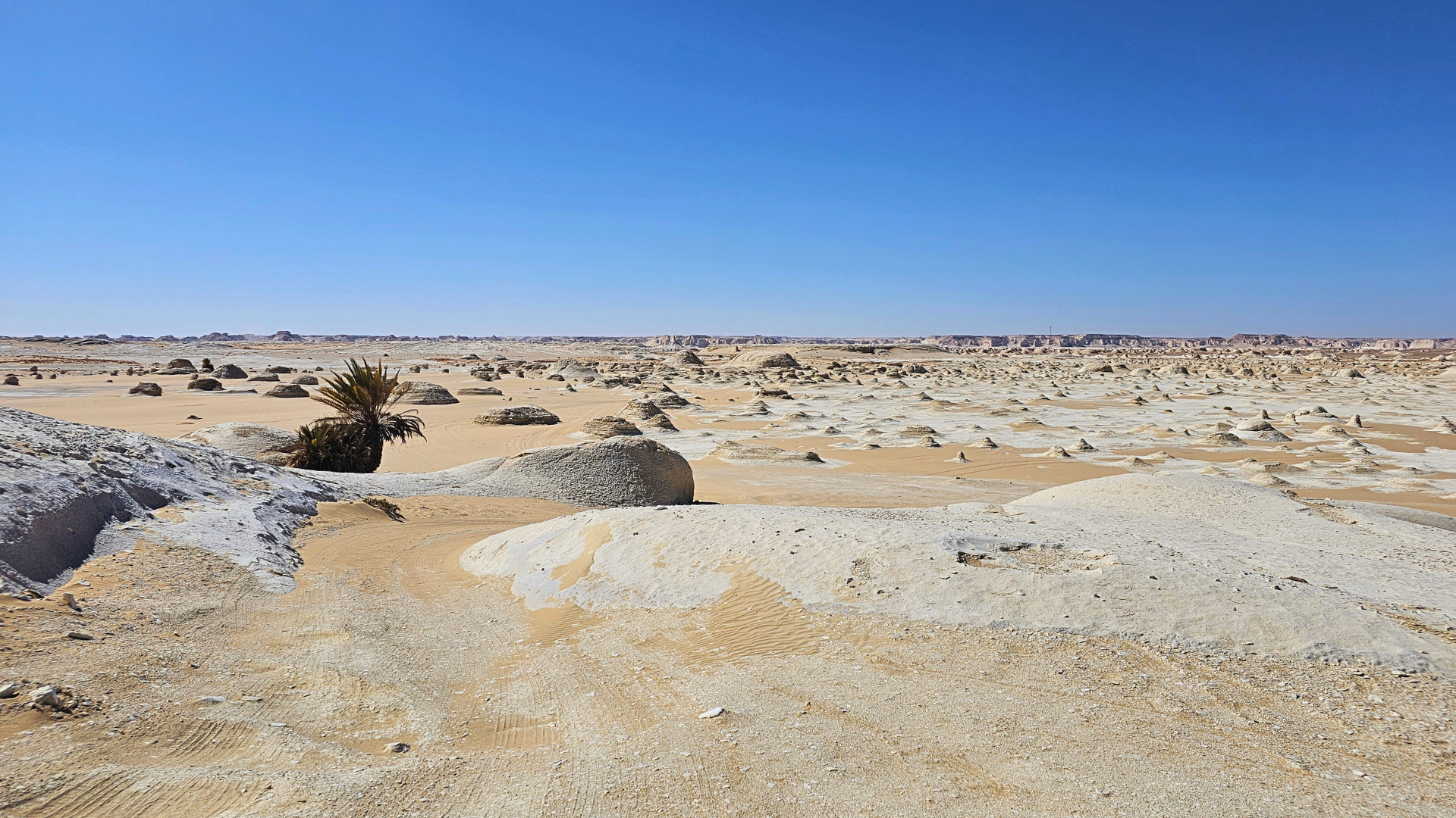 Le affascinanti formazioni di roccia calcarea dalle forme surreali nel deserto bianco