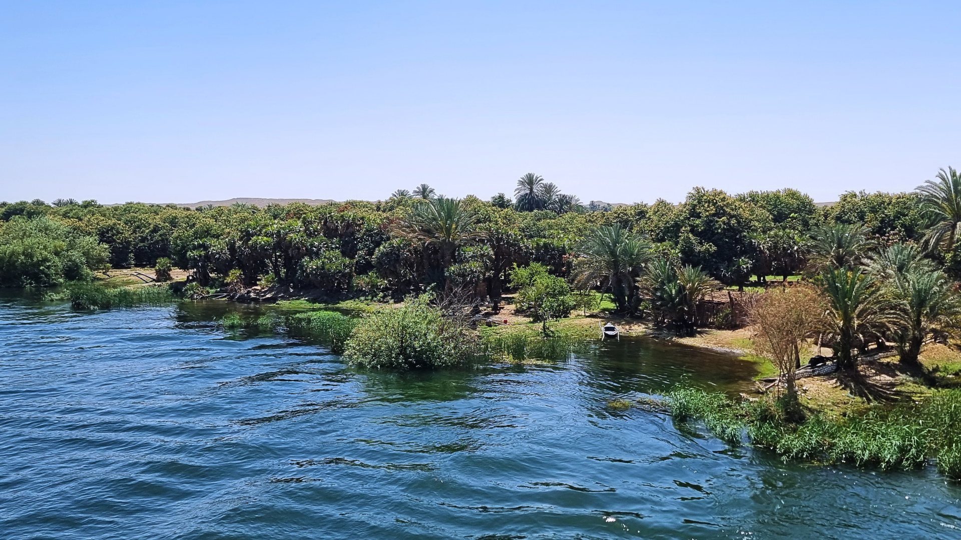 Veduta panoramica emozionante delle acque tranquille del fiume Nilo e della sua florida vegetazione