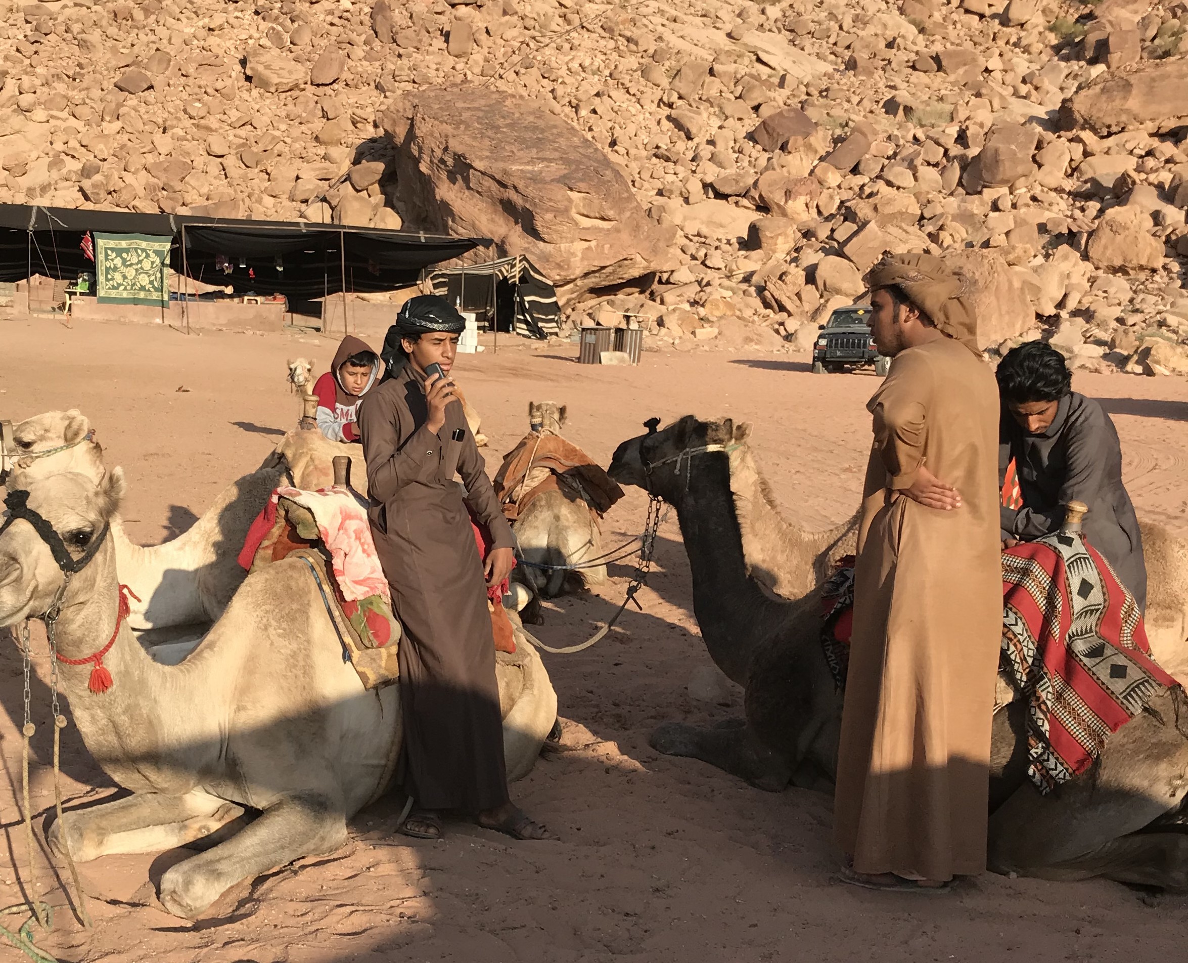 Beduini locali con i loro cammelli nel Wadi Rum