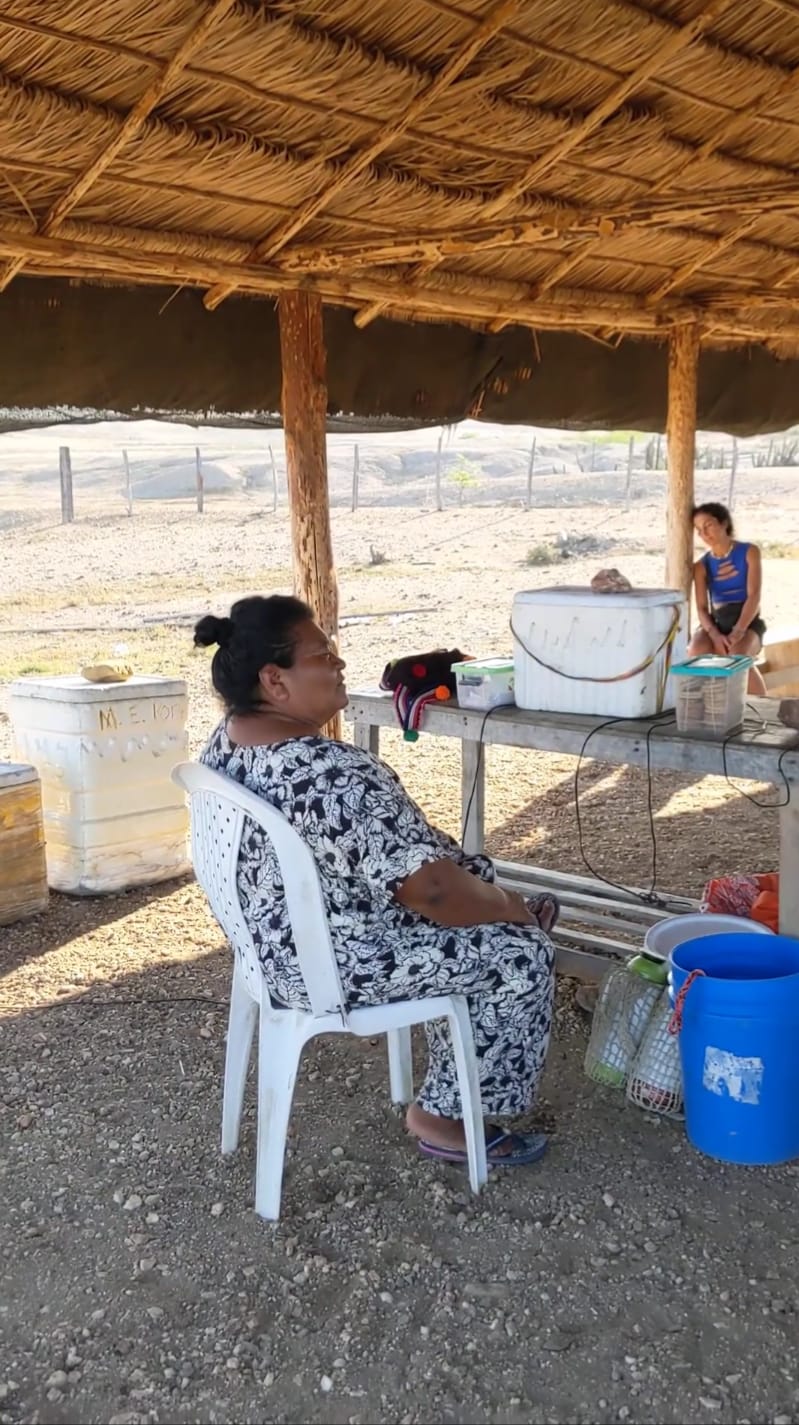 Primo piano di una ragazza che mangia una deliziosa arepa