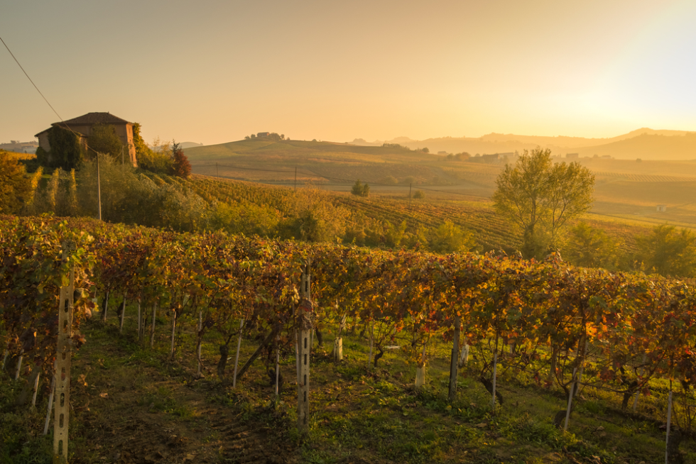 Consigli, buone pratiche e trend per il turismo enogastronomico nel 2019.